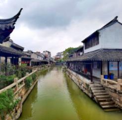 曹操杀了杨修之后，为了试探其父杨彪，就明知故问：“才几天不见，你怎么瘦成